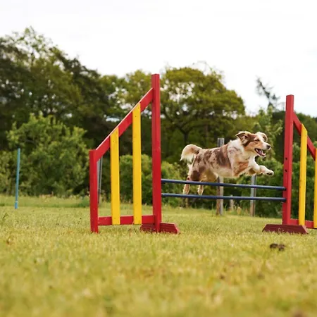 Hof Koehne - Altes - Bauernwohnung Apartamento Schmallenberg
