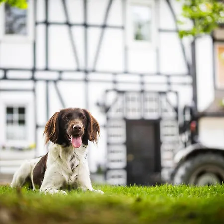 Hof Koehne - Altes - Bauernwohnung *