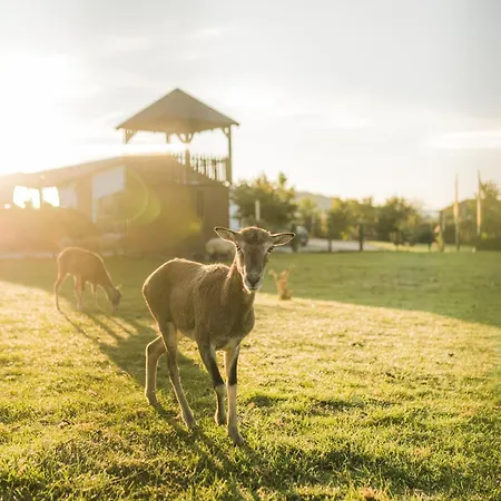 Hof Koehne - Altes - Bauernwohnung Apartamento *