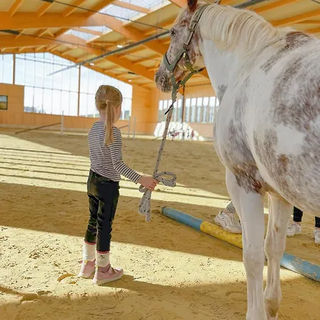 Hof Koehne - Altes - Bauernwohnung Apartamento Schmallenberg