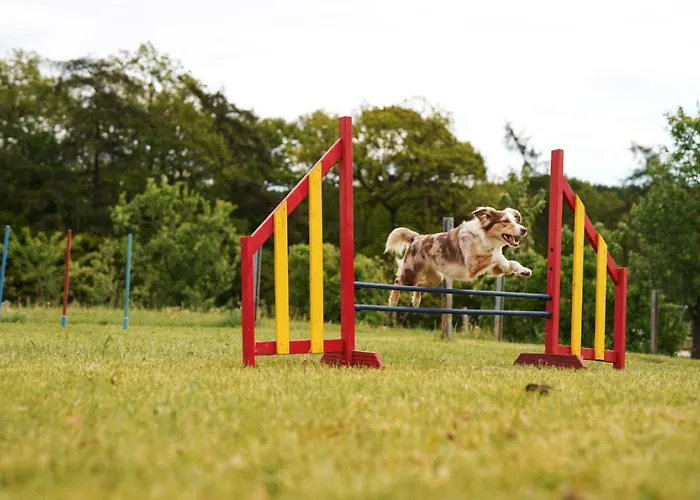 Hof Koehne - Altes - Bauernwohnung Apartment Schmallenberg