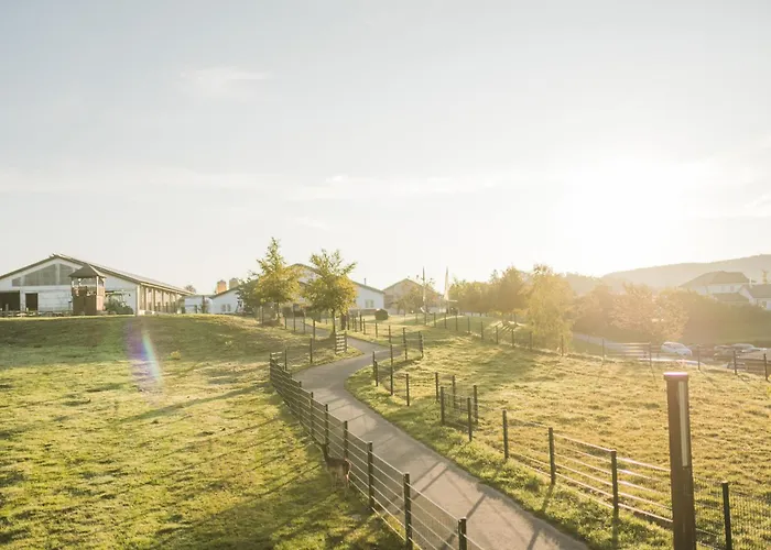 Hof Koehne - Altes - Bauernwohnung Apartment *
