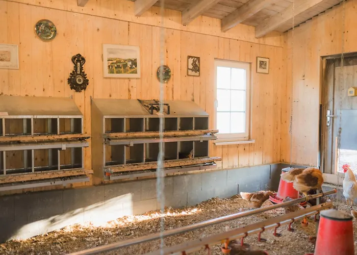 Hof Koehne - Altes - Bauernwohnung Schmallenberg
