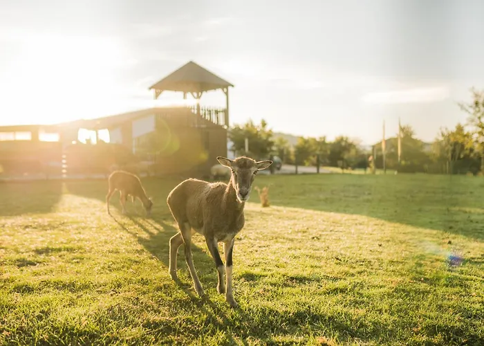 Hof Koehne - Altes - Bauernwohnung Apartment *