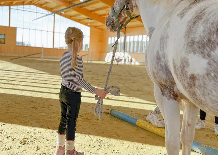 Hof Koehne - Altes - Bauernwohnung Apartment Schmallenberg